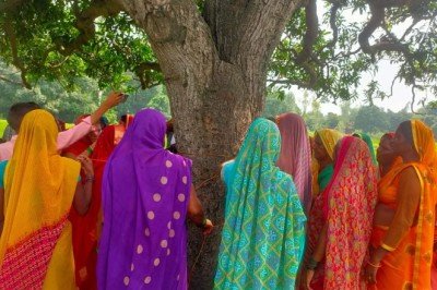 रक्षाबंधन का त्योहार खिरिया बाग की महिलाओं ने पेड़ों पर राखी बांधकर मनाया